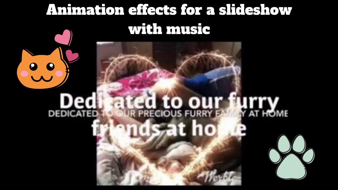 Best Songs For A Slideshow About Pets YouTube