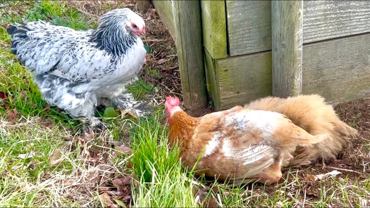 泉がついにやりました！！