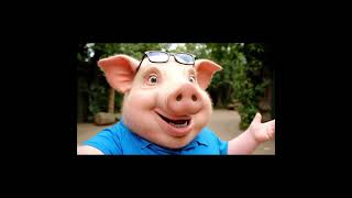 Potbelly Going To The Zoo