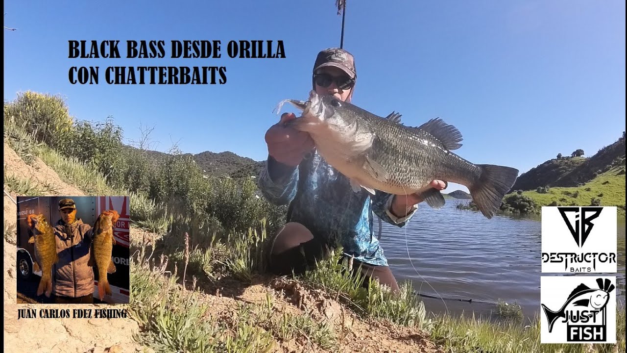 Black bass desde orilla con Chatterbaits
