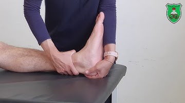 ROM Subtalar Inversion and Eversion