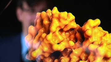 Computer prediction system / ITMO University