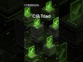 The CIA Triad Explained: The Backbone of Cybersecurity
