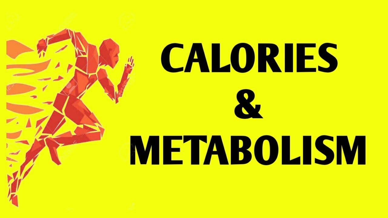 Calories and metabolism in Tamil/ coach jb YouTube