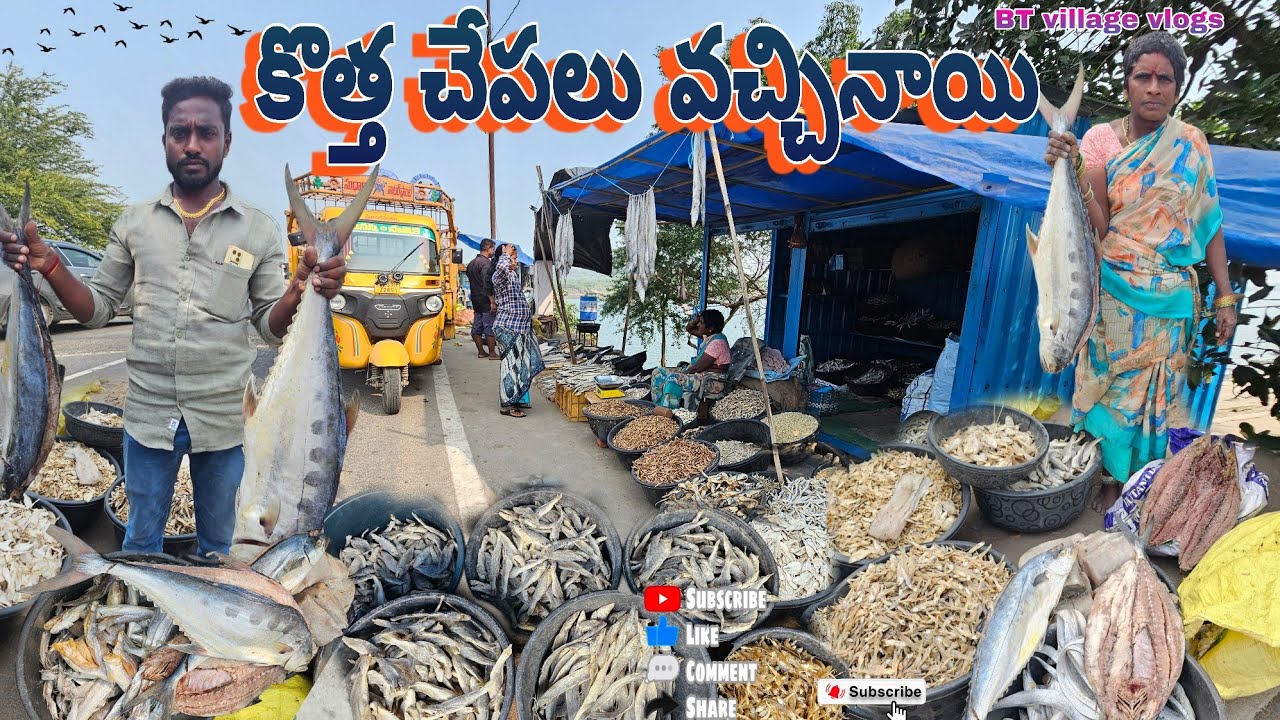 కొత్త చేపలు వచ్చినాయి 