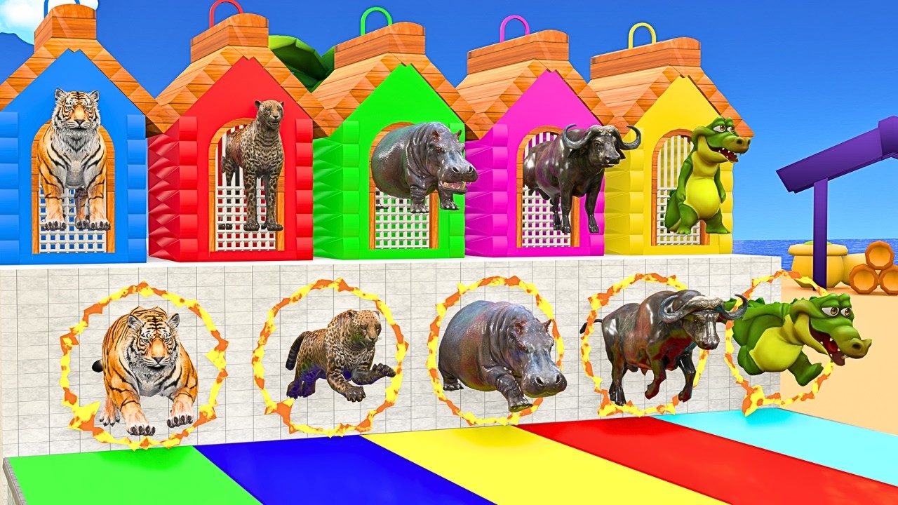 Long Slide Game With Cow Elephant Gorilla Hippopotamus Tiger 3d Animal Game Funny 3d Animals