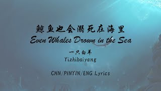 Yizhibaiyang 一只白羊 - Even Whales Drown in the Sea 鲸鱼也会溺死在海里 [Chn/Pinyin/Eng Lyrics (singable)]
