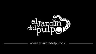 Presentación El Jardín del Pulpo