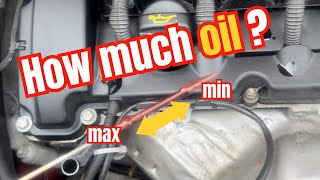 BMW Mini Cooper R56 Quanto oleo entre as marcas Min e Max