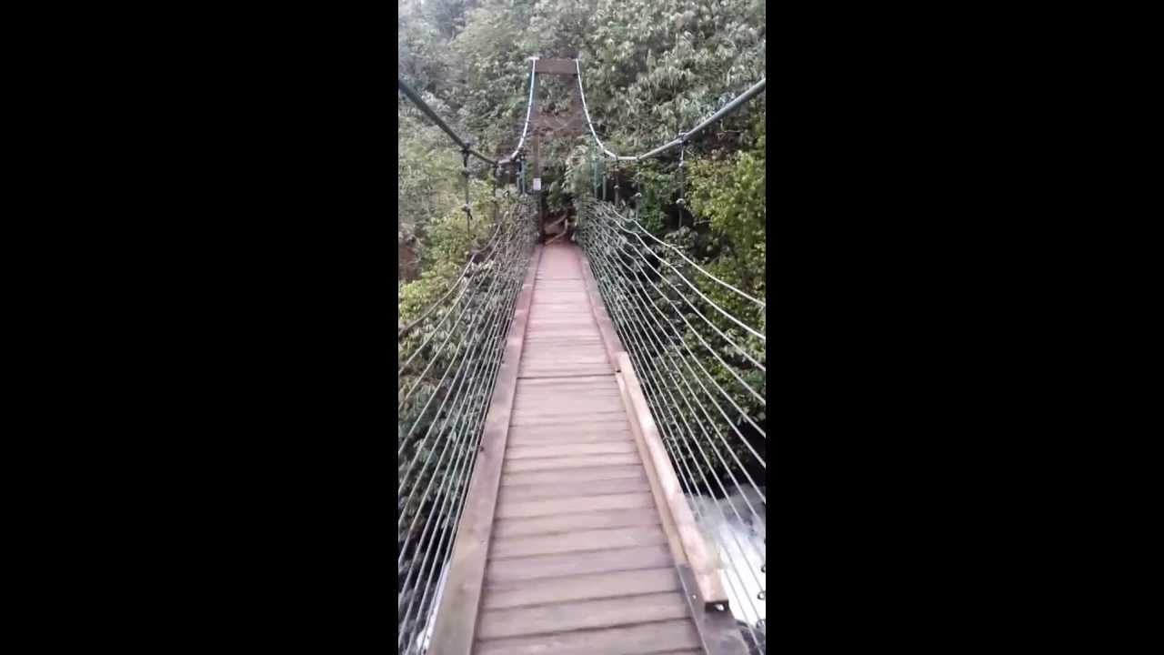Raven Cliff Falls Run - Suspension Bridge - YouTube
