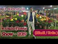 Agrihorticultural Annual Flower Show - 2019 , Kolkata