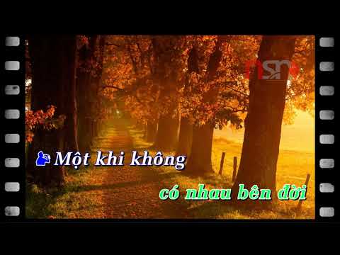 NẾU KHÔNG CÓ EM BÊN ĐỜI ( nhạc ngoại lời việt ).