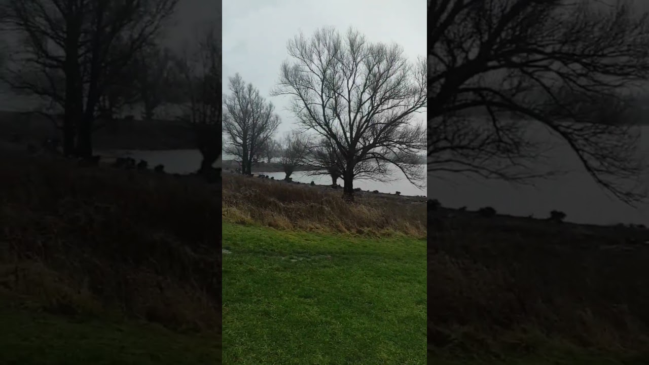 Прогулка под дождём..