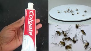 JUST ONE MINUTE || HOW TO KILL MOSQUITOS AT HOME || MAGIC INCGRDENT || JUST ONE MINUTE || MR MAKER screenshot 2