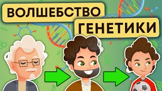 чудо генетики | интересные факты про ДНК 12+