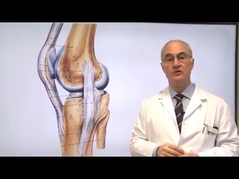 Vídeo: Anatomía, Función Y Diagrama Del Ligamento Colateral Tibial - Mapas Corporales