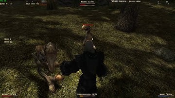 Gothic 2 Returning 2.0 AB - Nightmare difficulty - Necromancer #10