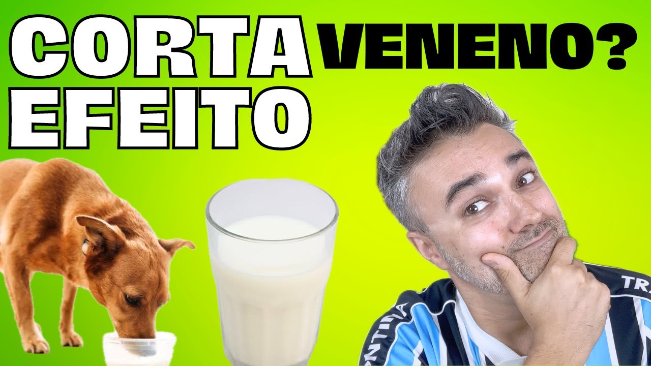 LEITE CORTA efeito do VENENO? 👉 MELHOR PRODUTO SALVAR CACHORRO!! - YouTube