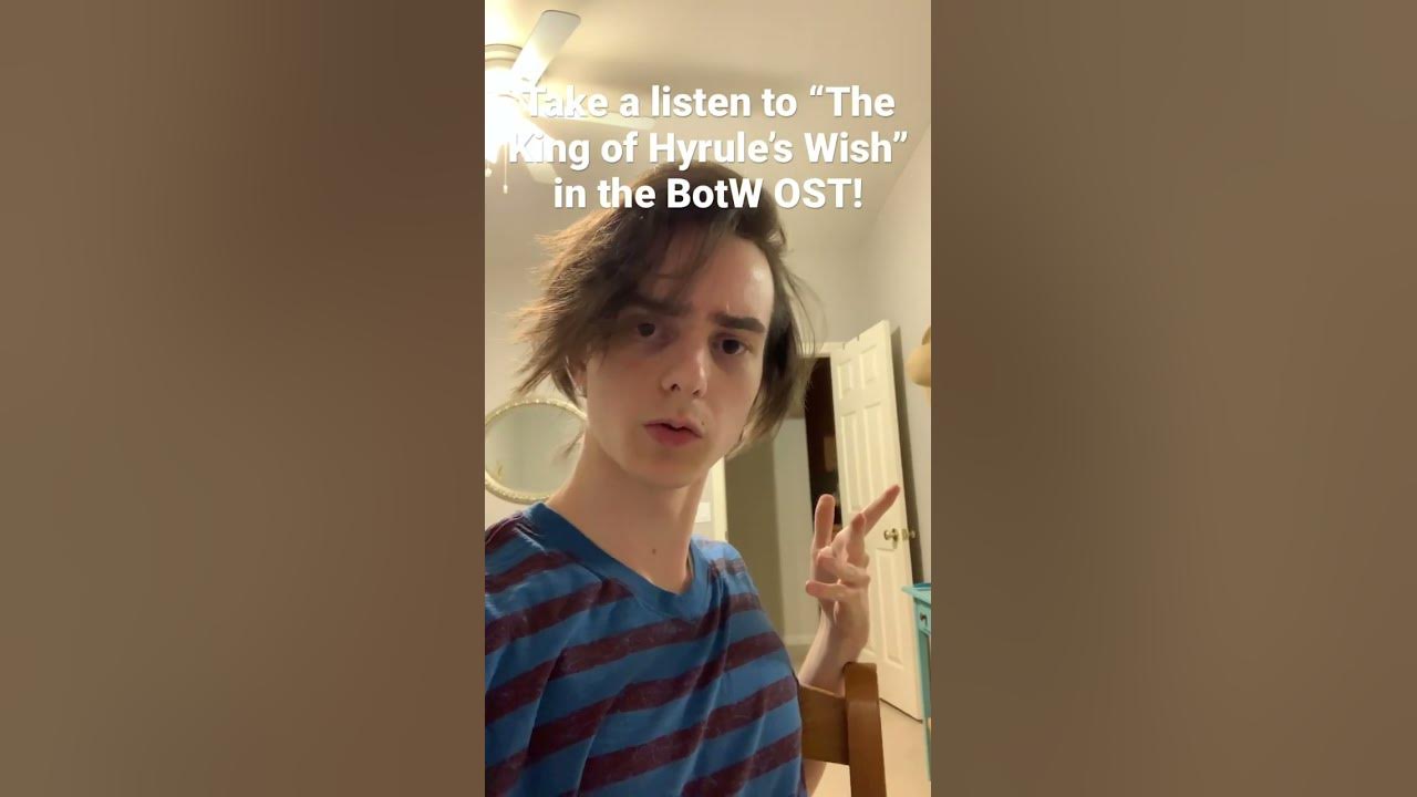 Zelda BotW/TotK Music Easter Egg