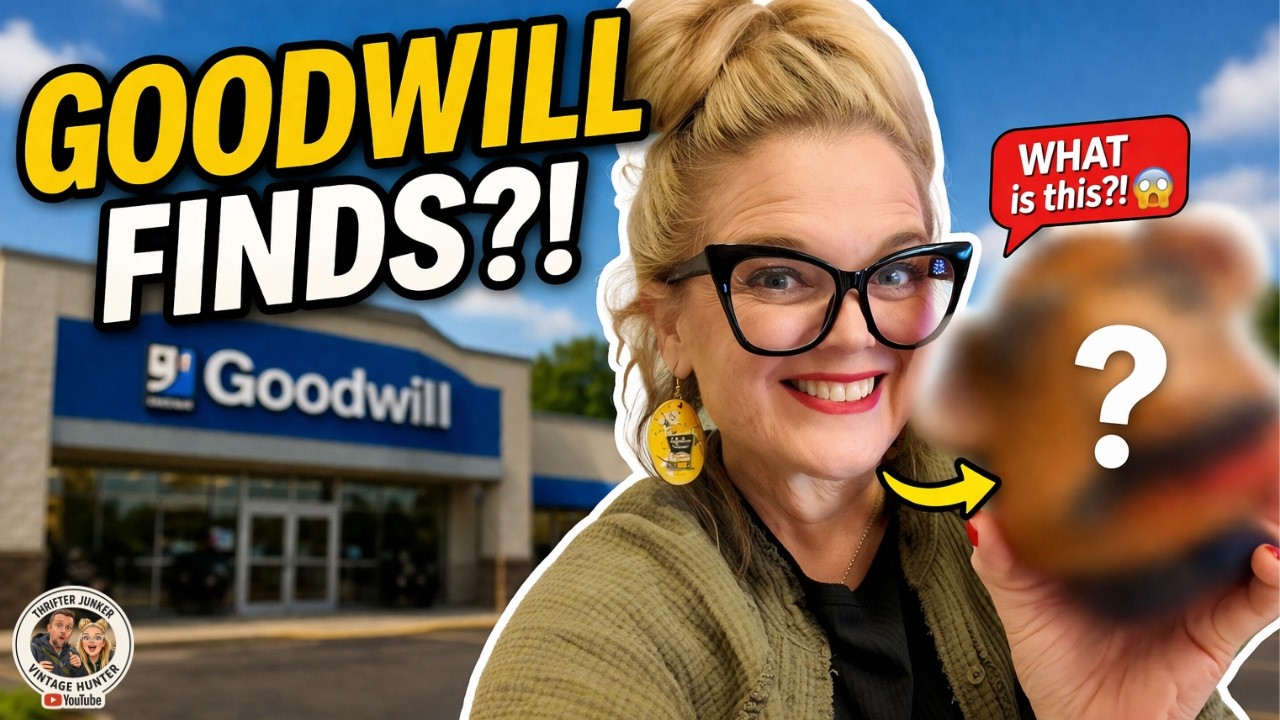 Found the Weirdest Thing at Goodwill Today | Thrift Haul - YouTube