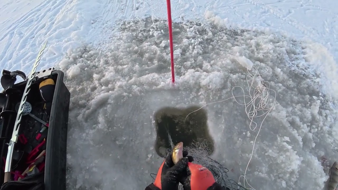 Talviverkot  Jos MP kerho uhkaa, Kurkataanko muiden verkkoon salaa  – Tehty Clipchampilla