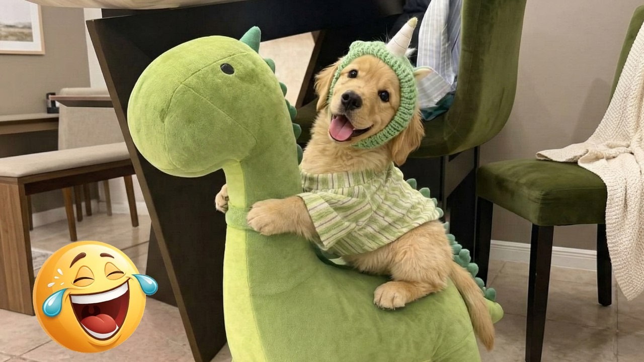 DOGS Being Hilariously Dramatic 😂 Best Funny Dog Moments 2026