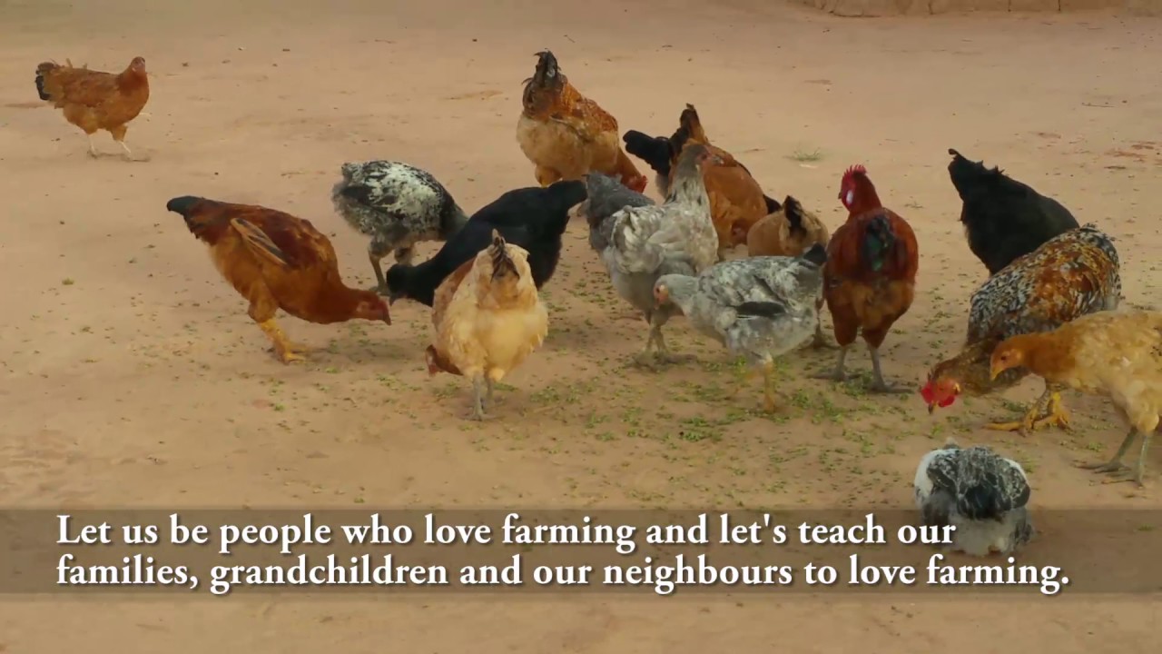 ⁣African Mother's Reflections On Health and Wellness (with English Sub Titles Pt 2)