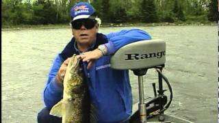 Simply Fishing Monster Walleye At Witch Bay Camp