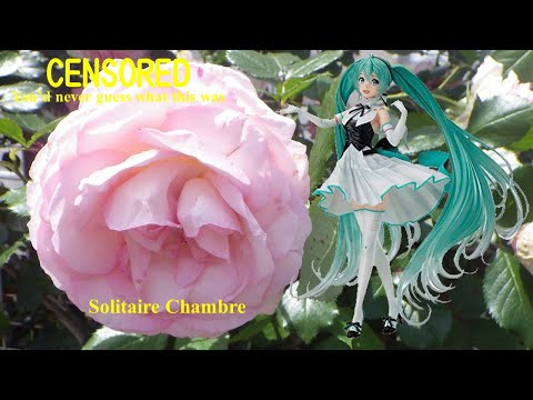 【Hatsune Miku】かげりゆく部屋（松任谷由実）： Solitaire Chambre. 【Vocaloid3 ; VocaListener version】初音ミク