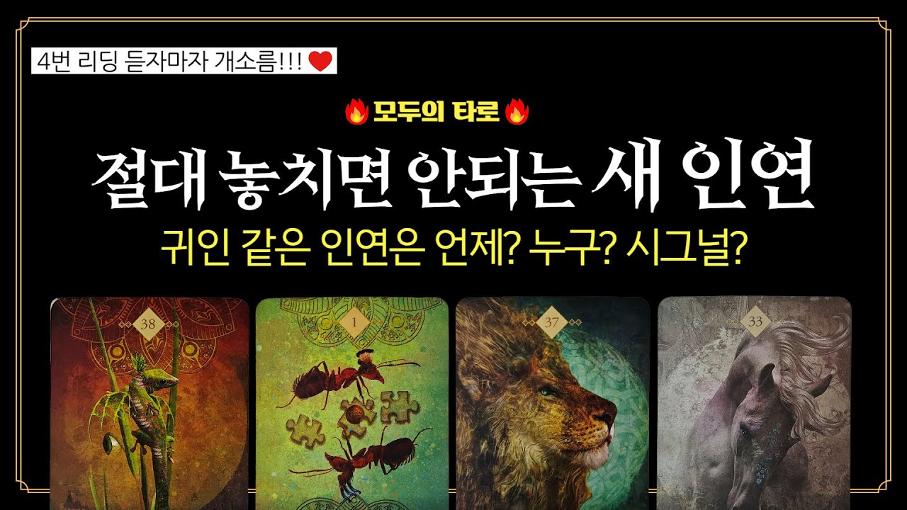 [타로] 새 인연 옵니다! ⏰언제?👉어떻게?👤누구? (+보너스카드)