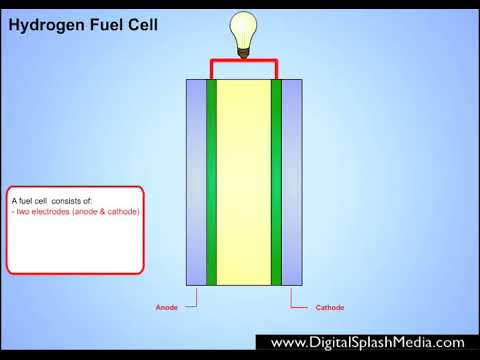 Hidrogen Fuel Cell