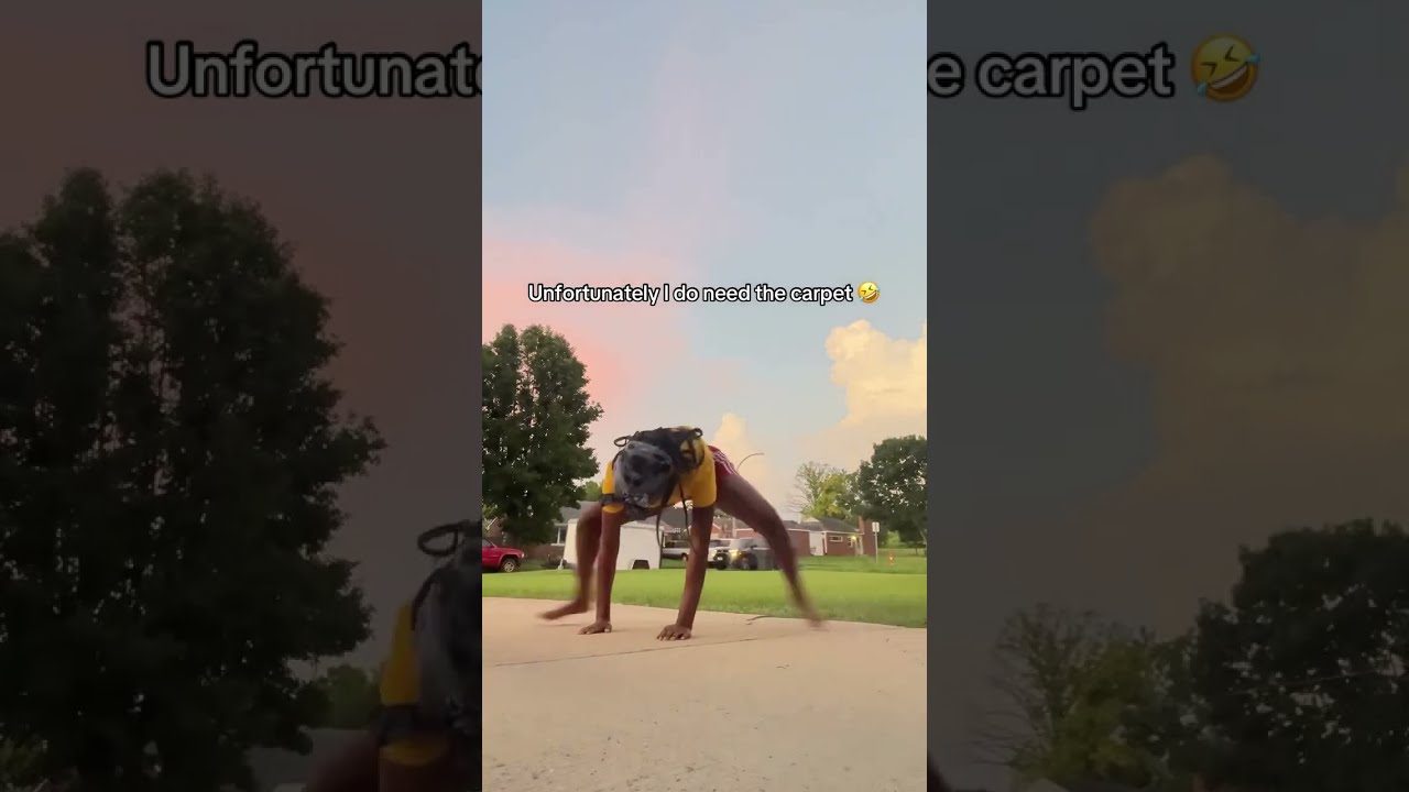 Y All Can T Get Lower Than Me Thaatdigitalgalleryy 