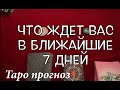 Выбери камень и узнай, что ЖДЕТ ВАС в БЛИЖАЙШИЕ 7 ДНЕЙ 🔔 26.06-02.07.23 Таро ПРОГНОЗ🔮Послание СУДЬБЫ