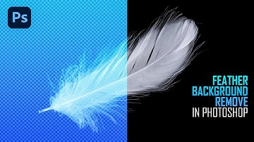 Change Complex Feather Background Color in Photoshop | Feather Background | Photoshop Tutorial