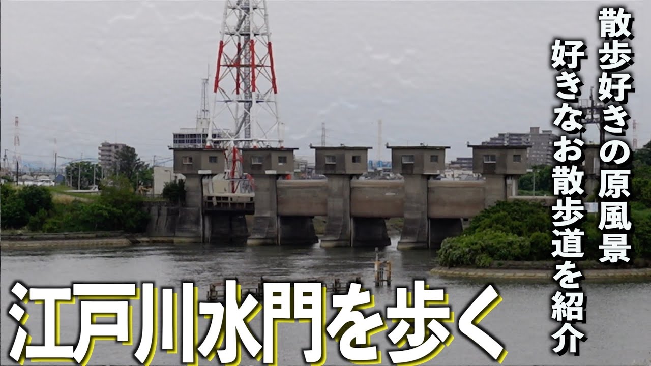 【江戸川】ここが原点！僕の好きな散歩道をご紹介します。#千葉県 #船橋市