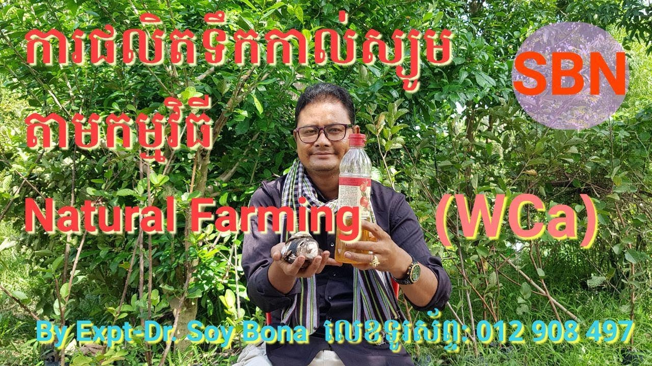 ការផលិតទឹកកាល់ស្យូមតាមកម្មវិធីNatural Farming (WCa) |Soy Bona|