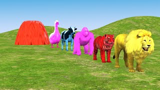 Long Slide Game With Elephant Gorilla Buffalo Hippopotamus Tiger - 3d Animal Game - Funny 3d Animals