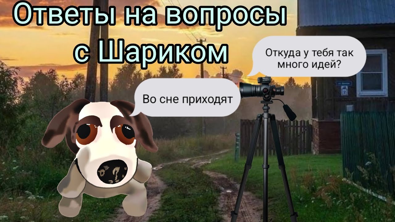 Ответы на вопросы с Шариком. 