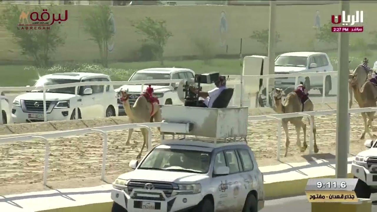 ملخص أشواط الجذاع المفتوحة - الرموز (مهرجان حضرة صاحب السمو أمير البلاد المفدى) مساء 09-04-2025