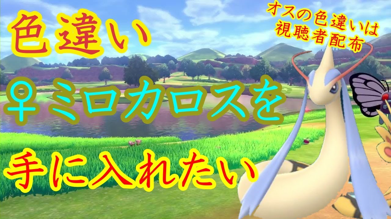 ミロカロス フロンティアの鼓動 色違い ミロカロスLv.52☆希少！色違い☆Dptフロンティアの鼓動