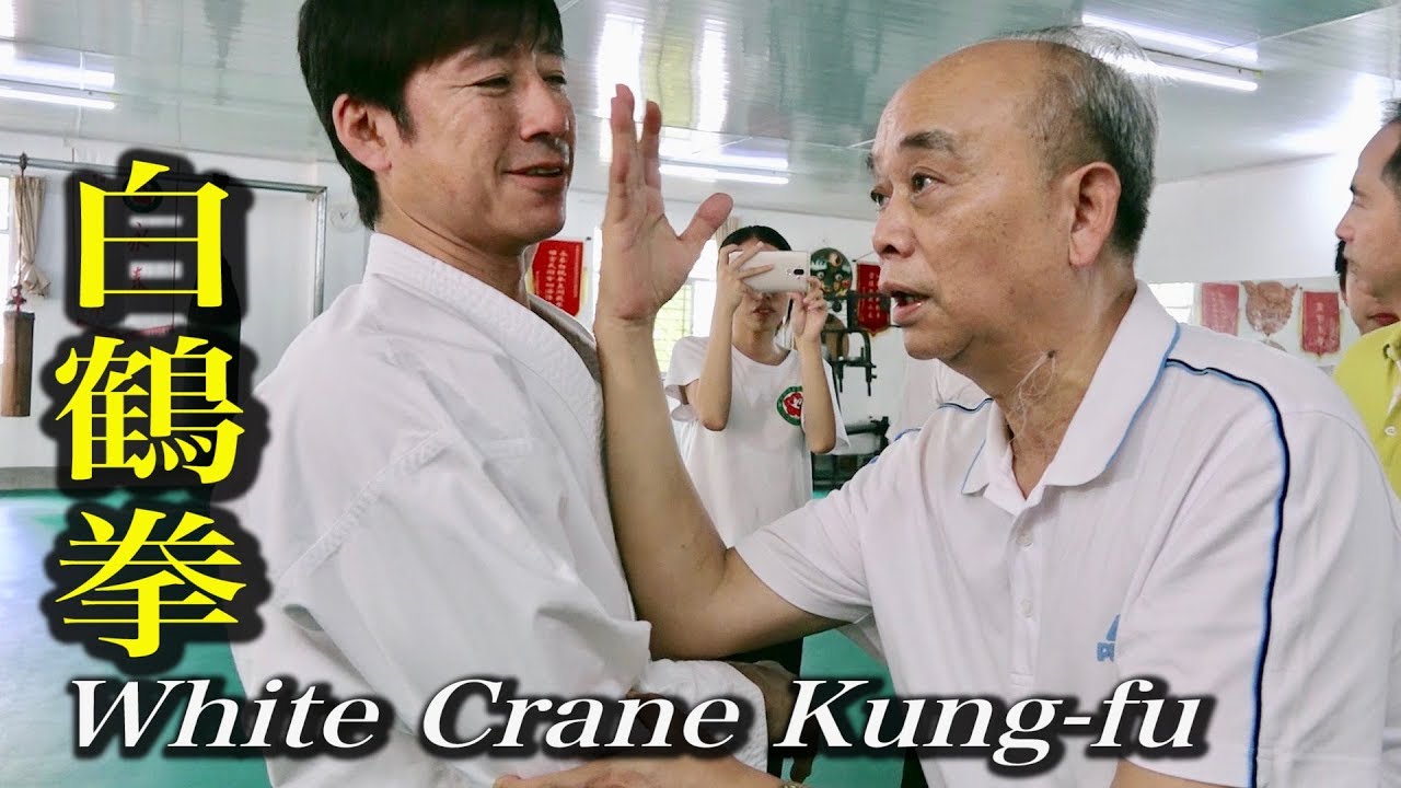 白鶴門食鶴拳 中国語版と日本語版　白鶴拳 71qtDK7dssL._AC_UF350,