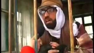 Kuş Gribi - Amatörr Kendi Yapımımız