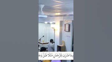 القارئ عبدالباسط عمر سورة الزخرف #القارئ_عبدالباسط_عمر#آل_عمران