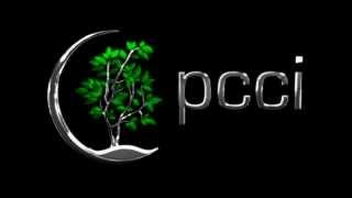 PCCI Innovative Logo Design