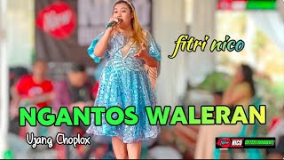NGANTOS WALERAN ( Ujang Choplox) versi FITRI NICO // BAJIDORAN SUNDA NICO ENTERTAINMENT