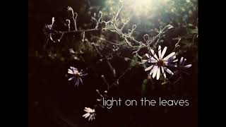 Light on the Leaves - Bethany Wakim