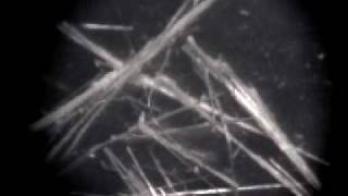 Asbestos - Amosite