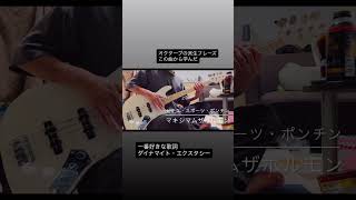 ビキニ・スポーツ・ポンチン／マキシマムザホルモン　#ベース #弾いてみた #マキシマムザホルモン #maximumthehormone ズンドコハム太郎