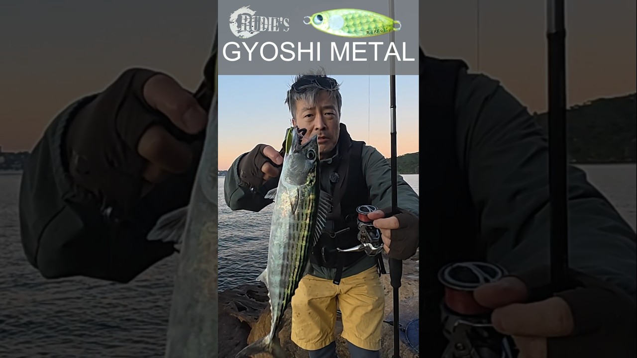 魚子メタル　10g ROD: APIA GRANDAGE LEGACY STRIKE GOLD S78MHT 金丸竜児さん監修竿　ミドルゲーム　スーパーライトショアジギング