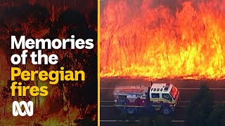2019 Peregian Fires: One year on | 2020 Black Summer bushfires | ABC Australia